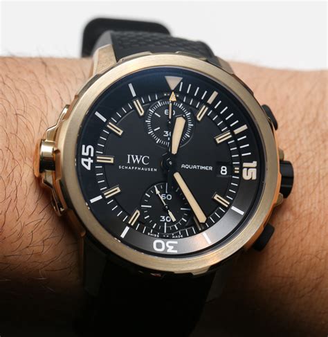 iwc aquatimer darwin edition|iwc aquatimer 3519.